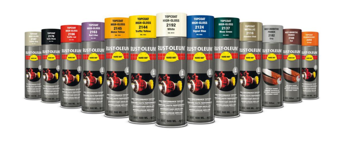 Spray-paint rust oleum - SPRAY-PAINT RUST OLEUM 500ML CLEAR LACQUER 2500-00