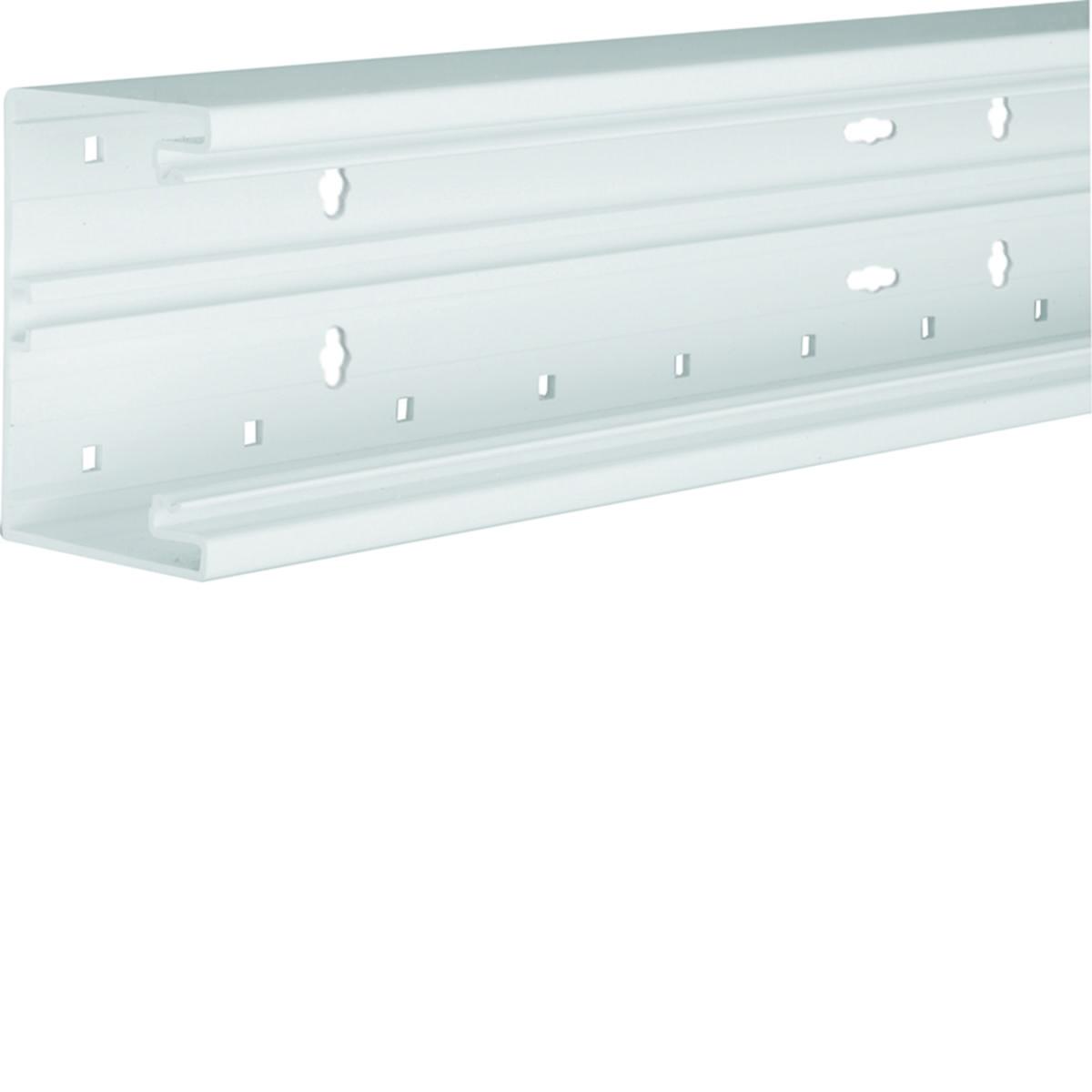 Basic profile BR65100 PVC - TRUNKING BASE BR 68X100 TRAFFI BR6510019016