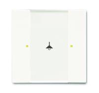 Tryckknapp, Multifunktion