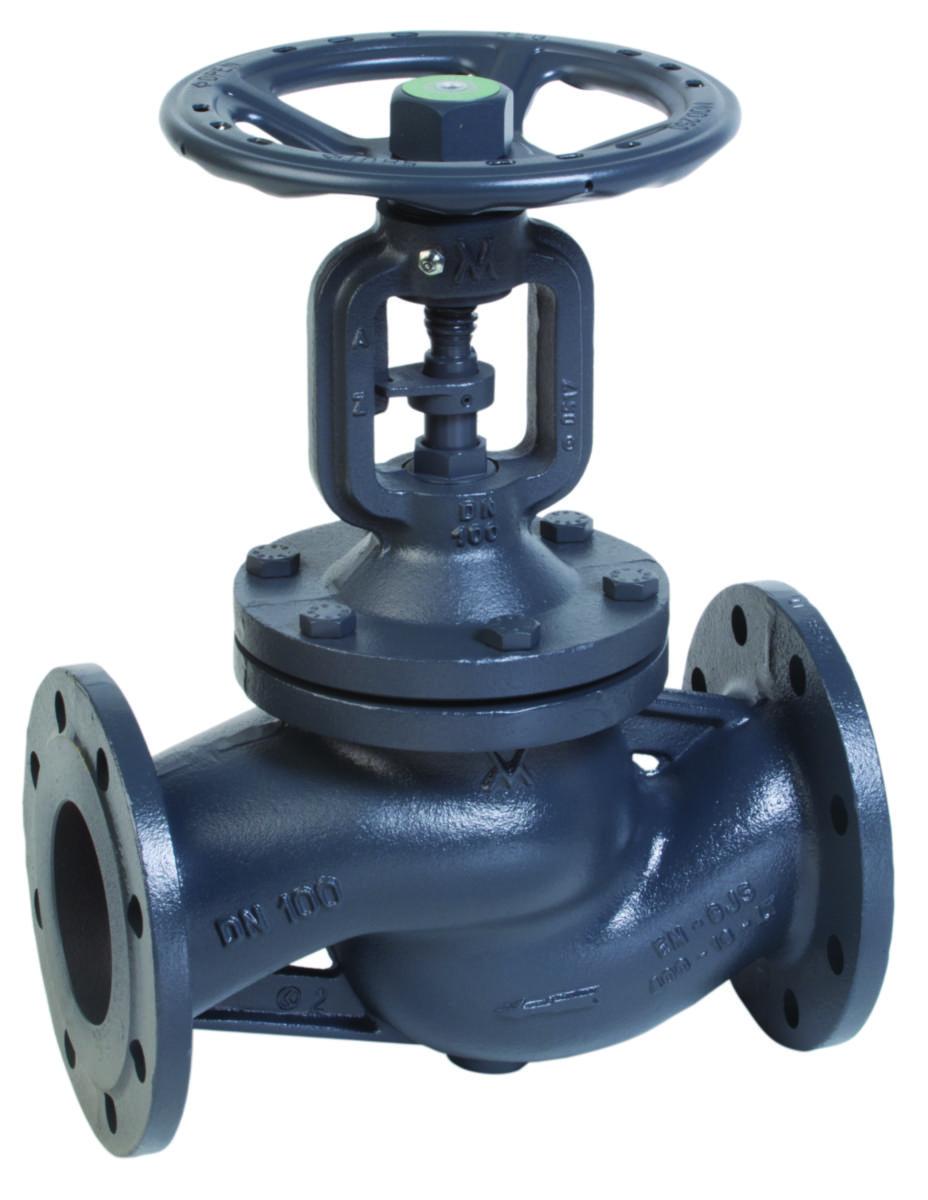 Kägelventil av Segjärn Flänsad AVI 1113, a-collection - 65 KÄGELVENTIL MED BÄLG PN 16 FLÄNSAD SEGJÄRN AVI 1113