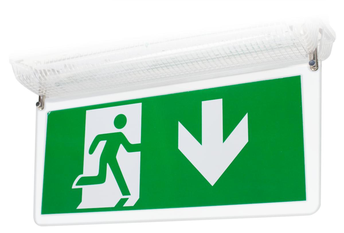 Piktogram till Mynta, Bergdahls - PIKTOGRAMSK DUBBEL INKL PIKT MYNTA