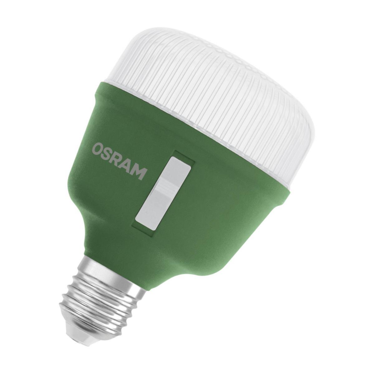LED Classic T Växtlampa E27 - LED VÄXTLAMPA T80 KLAR 20W E27 4058075845800
