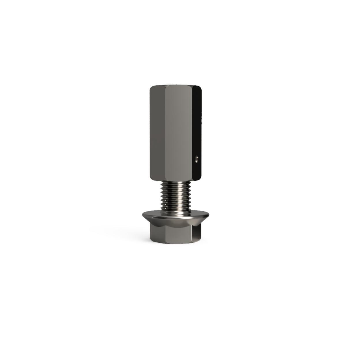 Lyftankare HEX-S A4 - LYFTANKARE HEX-S 2,3T A4 FIXX M16X80