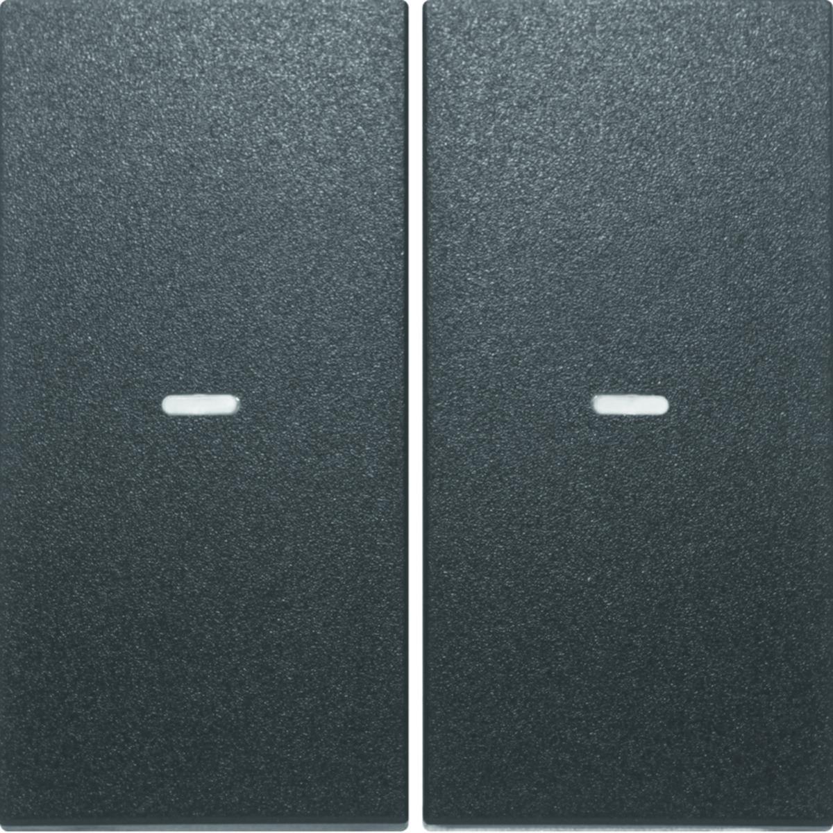 Vippa dubbel till KNX tryckknapp S1 - VIPPA DUB T TK-KNX S.1 ANTR 80960385