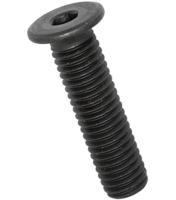 Sexkanthålskruv MELC6S 10.9 obehandlad