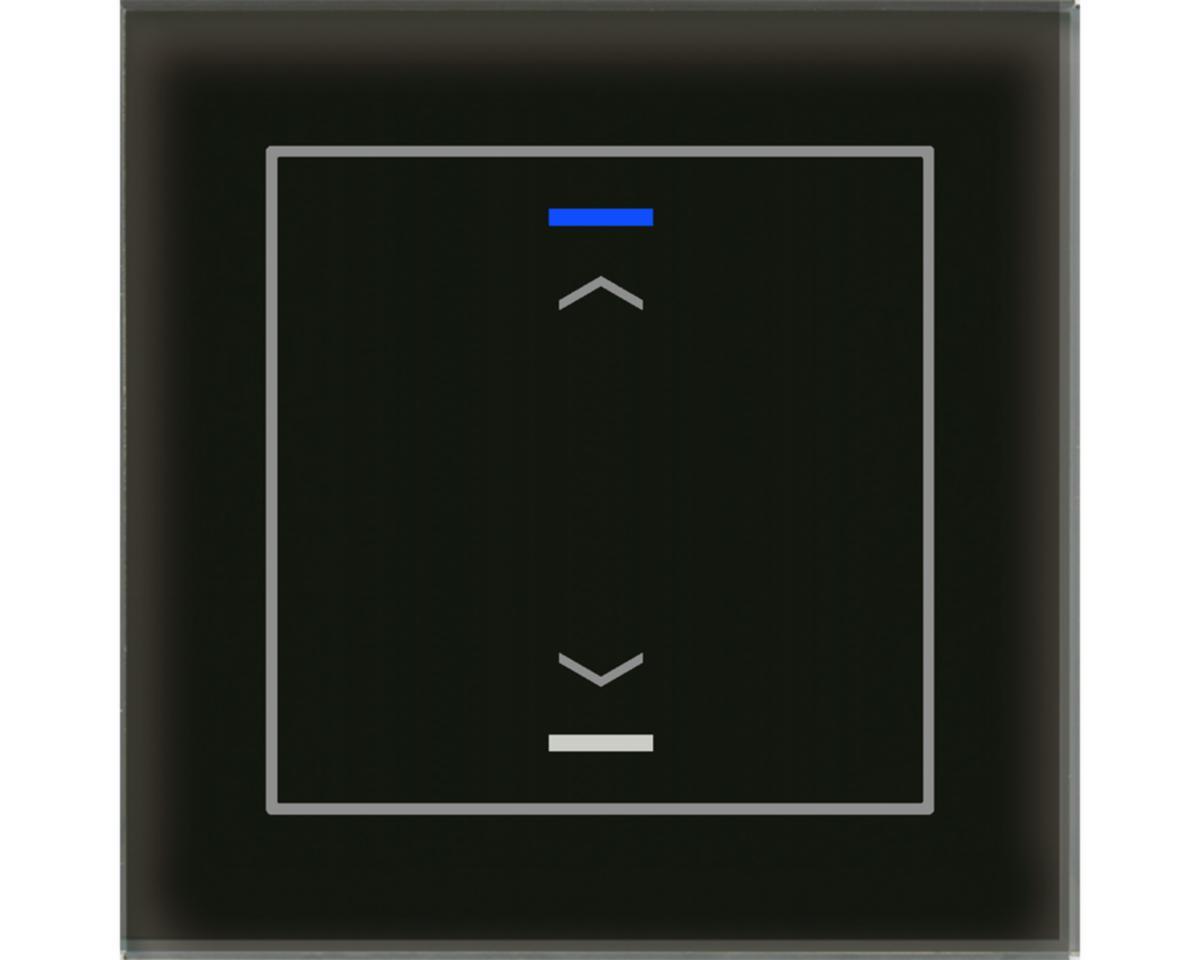 Tryckknapp Glas II Lite Upp/Ned, 1-kanal - TRYCKKN GLAS II LITE 1K U/N S