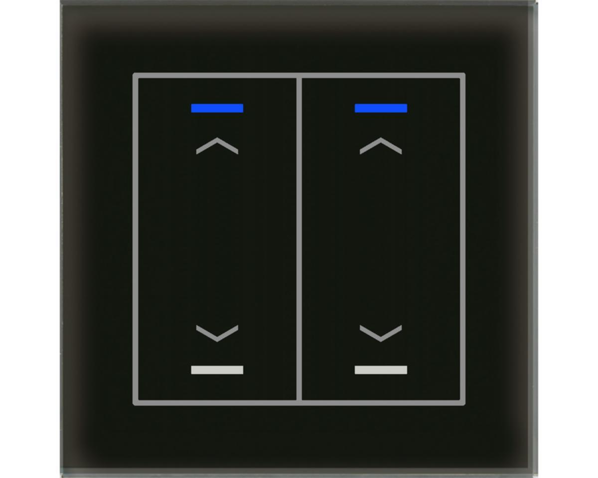 Tryckknapp Glas II Lite Upp/Ned, 2-kanaler - TRYCKKN GLAS II LITE 2K U/N S