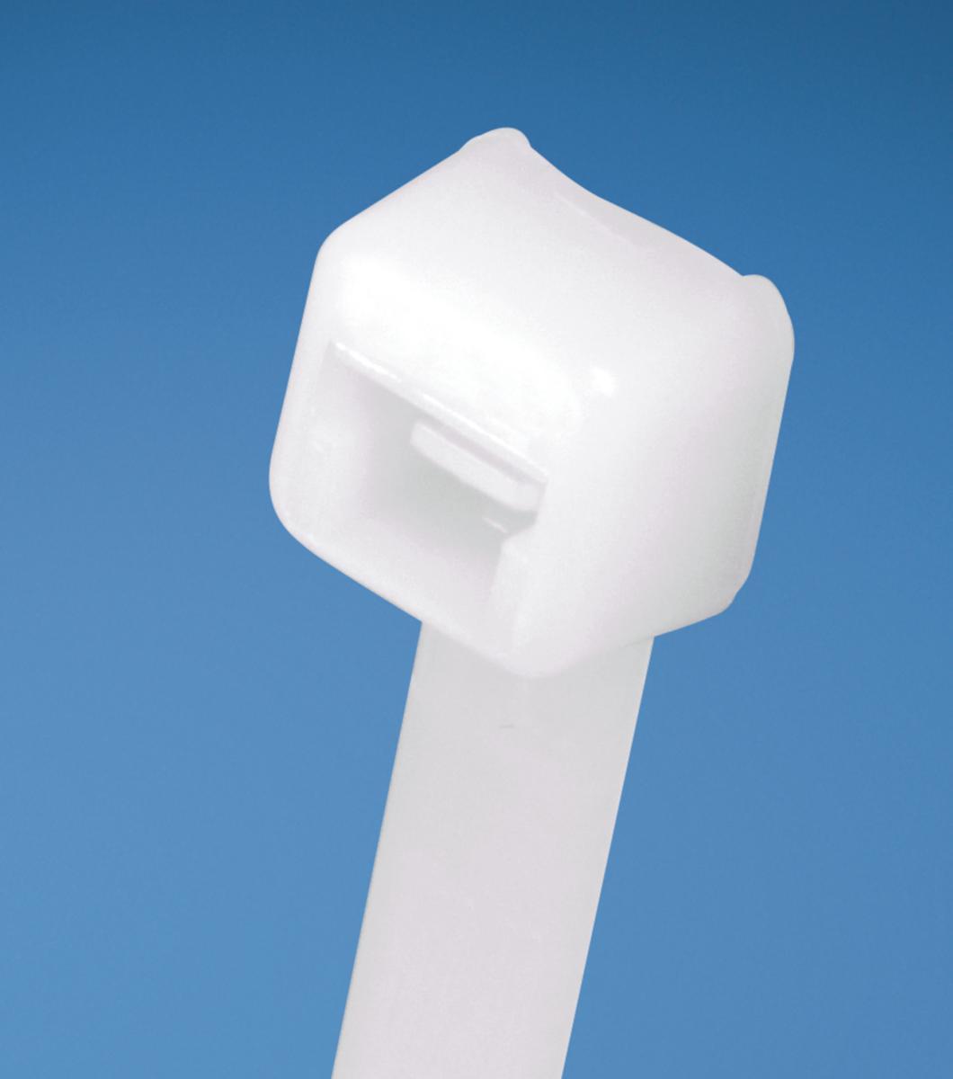 Buntband PLT standard i nylon 6.6 naturell - BUNTBAND 203X2,5 NATURELL PLT2M-M (1000 ST/FRP)