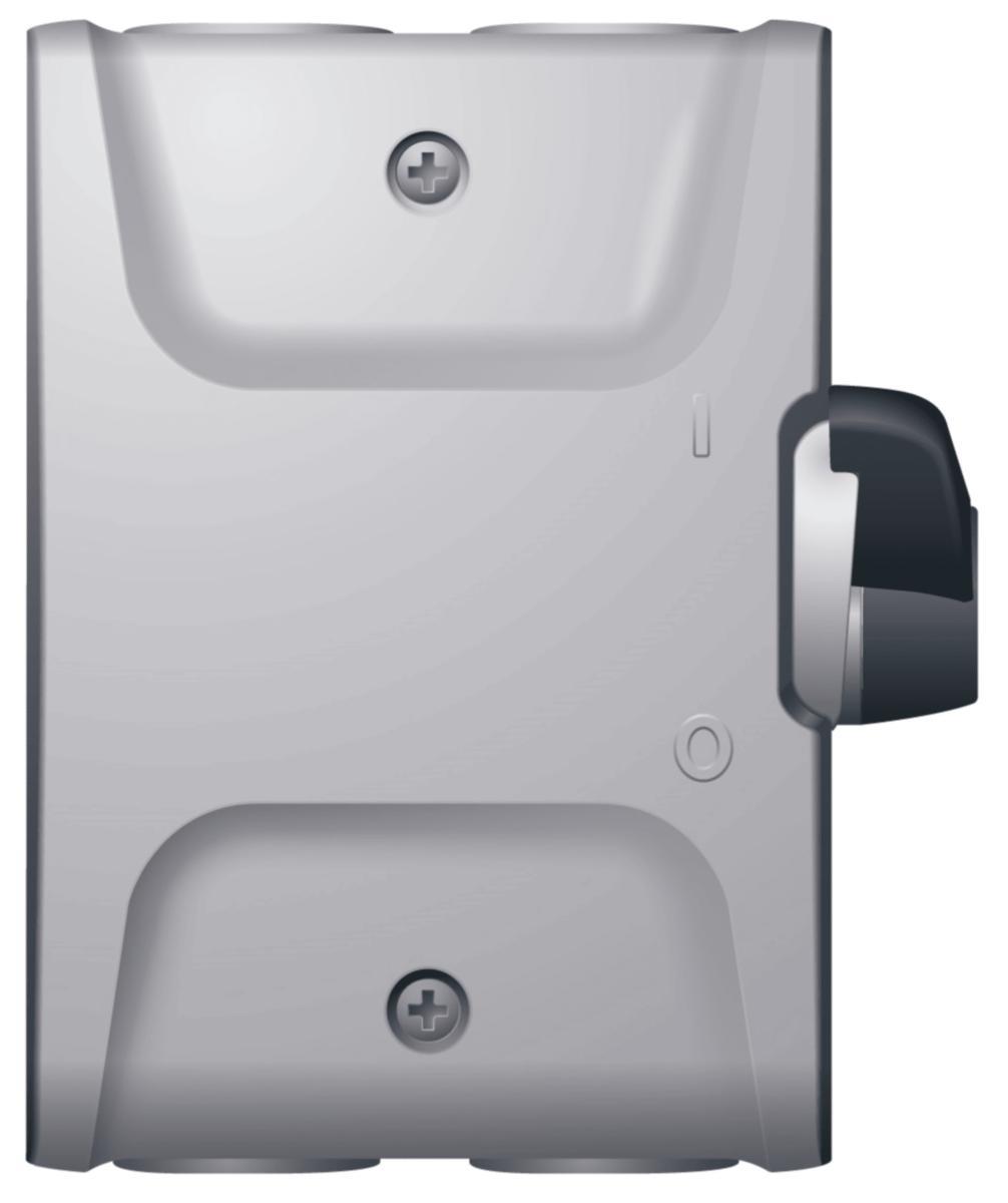 Säkerhetsbrytare SAQ 25 A - SÄKERHETSBRYTARE SAQ 325 309031