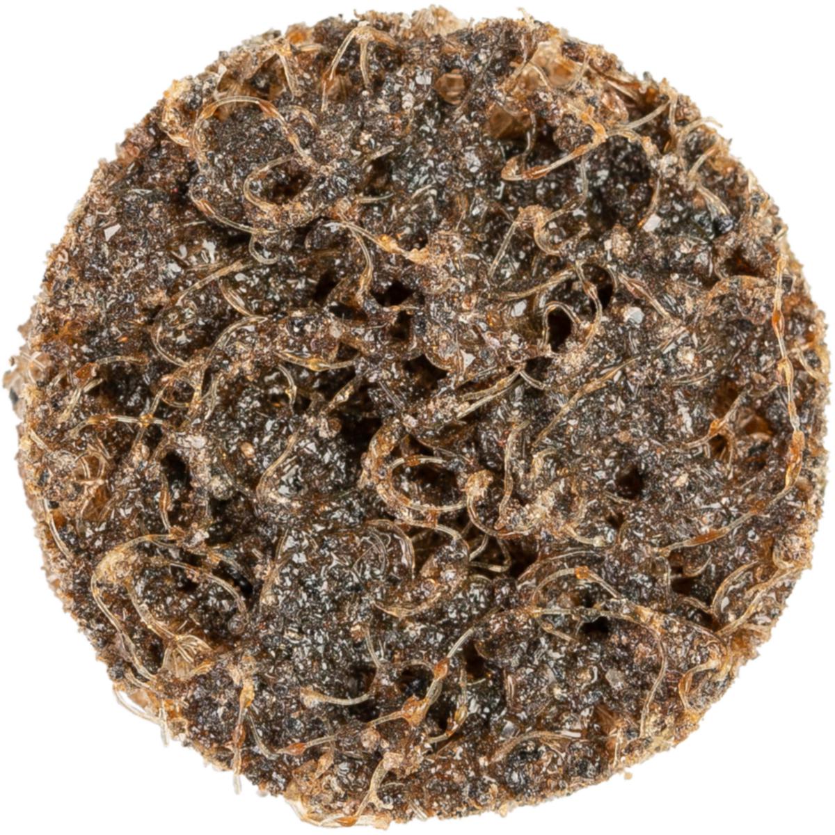 Kvickrondell PFERD CD VRH A Polernylon - POLERNYLONRONDELL PFERD CD VRH 20 A 100 G