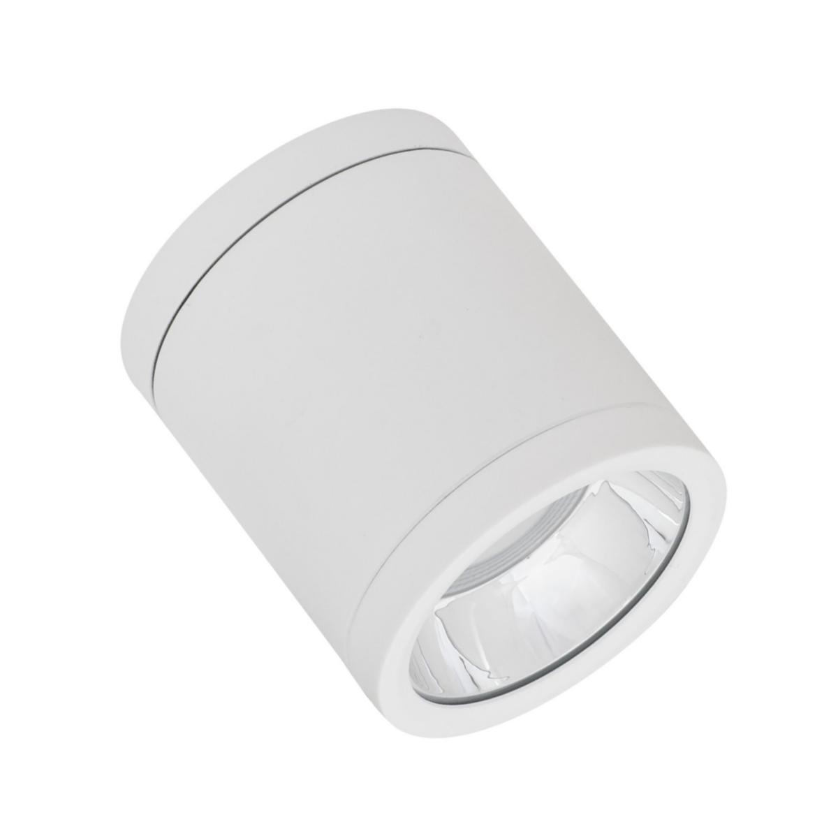 Downlight Surface IP65 - DOWNL 15W 1650LM 4K 60GR V SURFACE