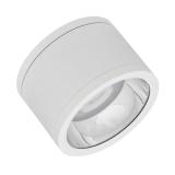 Downlight Surface IP65