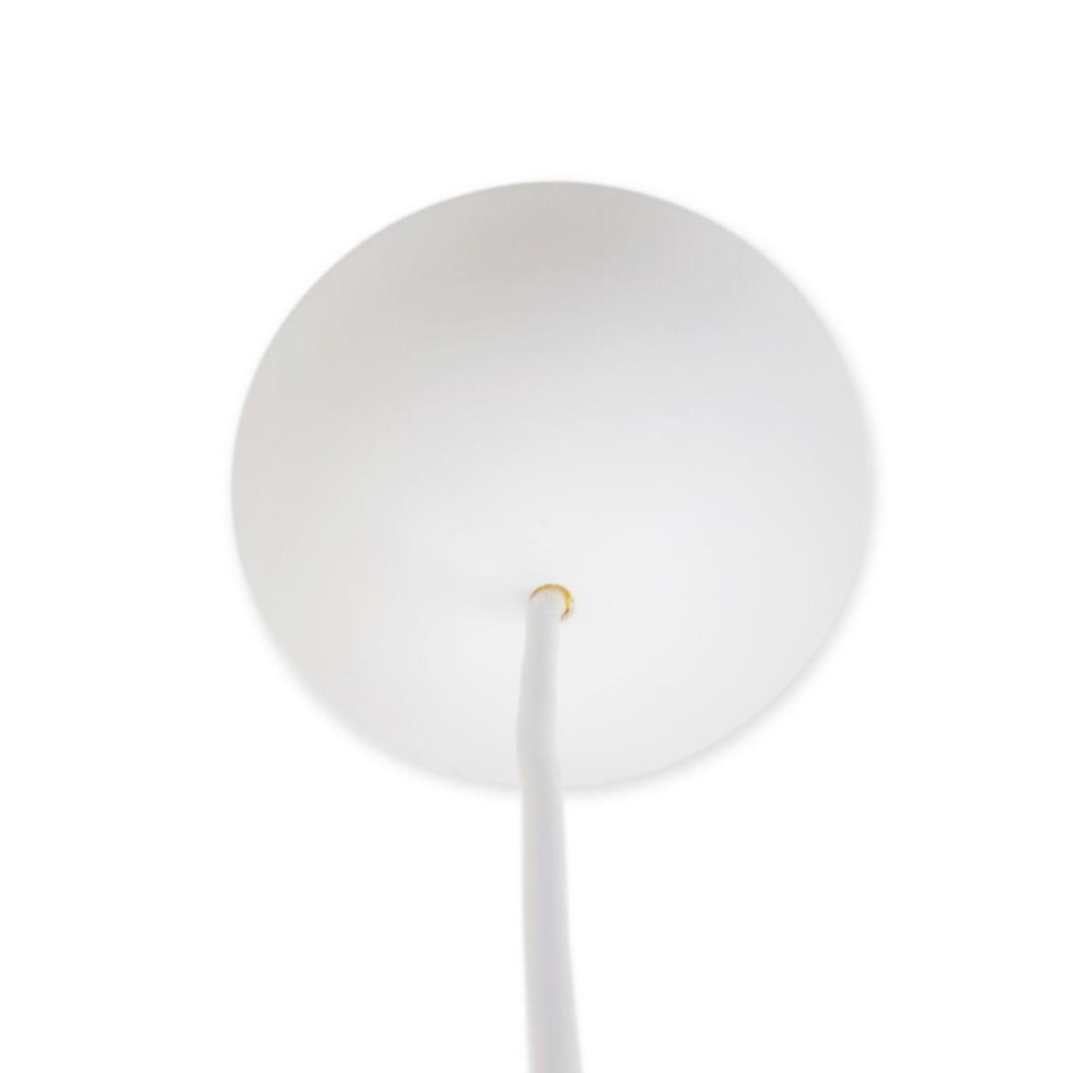 Reversible roof cup - CEILING CUP REVERSIBLE W 71001