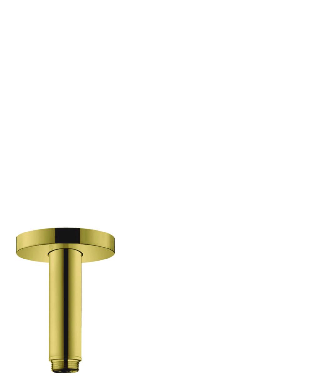 Duscharm tak 100 mm, Hansgrohe - HANSGROHE DUSCHRÖR 100 TAKMONTERING POLERAD GULD-OPT