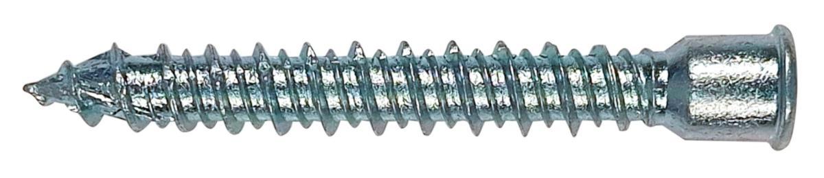 Hybridskruv för Adjufix-hylsa - HYBRIDSKRUV TX30 7,5X60MM 100 ST