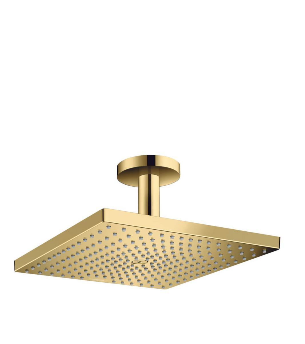 Duschsil Raindance E 300 1-jet tak, Hansgrohe - HANSGROHE DUSCHSIL RAINDANCE E300 1JET HUV.DUSCH POL.GULD