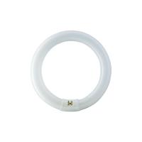 Fluorescent tube MASTER TL-E Circular Full colour