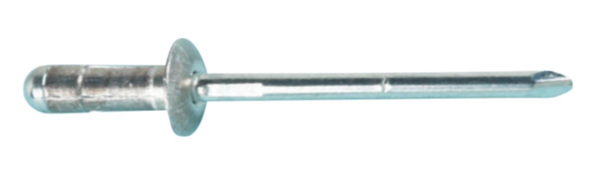 Multigripnit AVEX® "stort huvud", aluminium - BLINDNIT EJOT AVEX 4.8X24.8 AL/ST STOR SKALLE (250 ST)