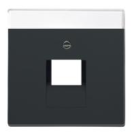 Centrumplatta Impressivo 1xRJ45