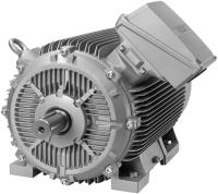 Elmotor Gjutjärn 1LE5 2/4/6-polig IE4