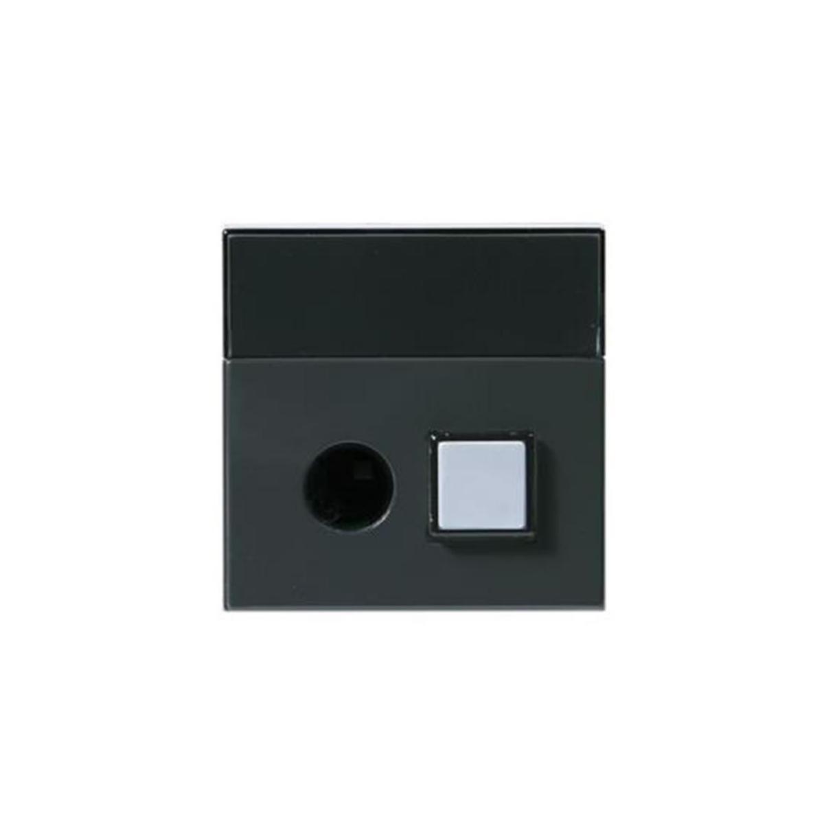 Centrumplatta Impressivo Signaltryckknapp med signaluttag - CENTRUMPLATTA TRYCKKN+6,3 ANTR PT-81