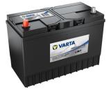 Fritidsbatteri Varta Proffesional