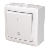 Switch Saga Surface Mounted IP44