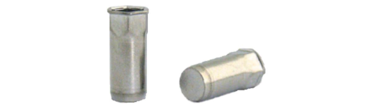 Blindnitmutter ST HEX Självförsänkande sluten - BLINDNITMUTTER ST HEX FS SLUTEN M4 200ST