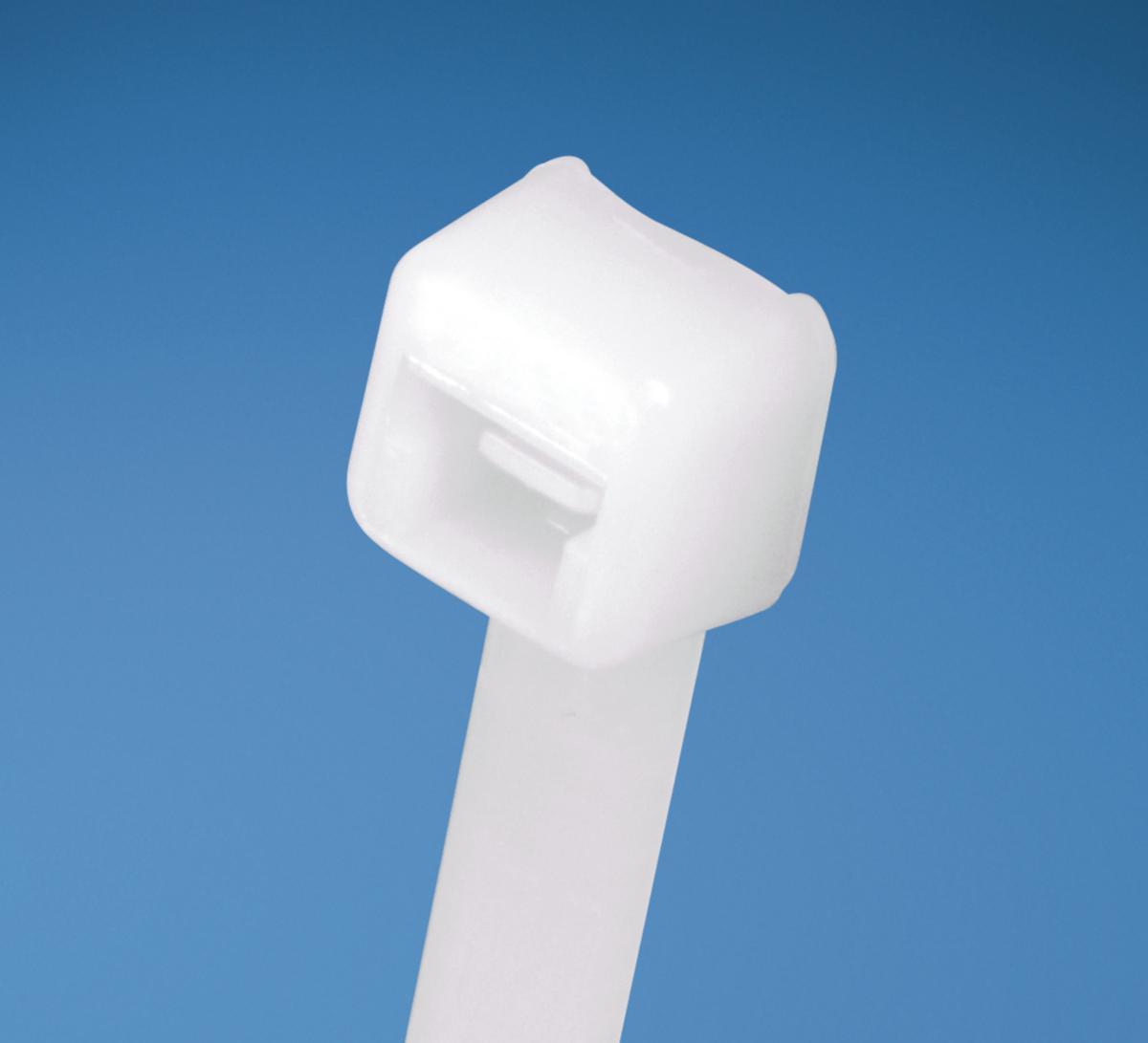 Buntband PLT standard i nylon 6.6 naturell - BUNTBAND 188X4,8 NATURELL PLT2S-M (1000 ST/FRP)
