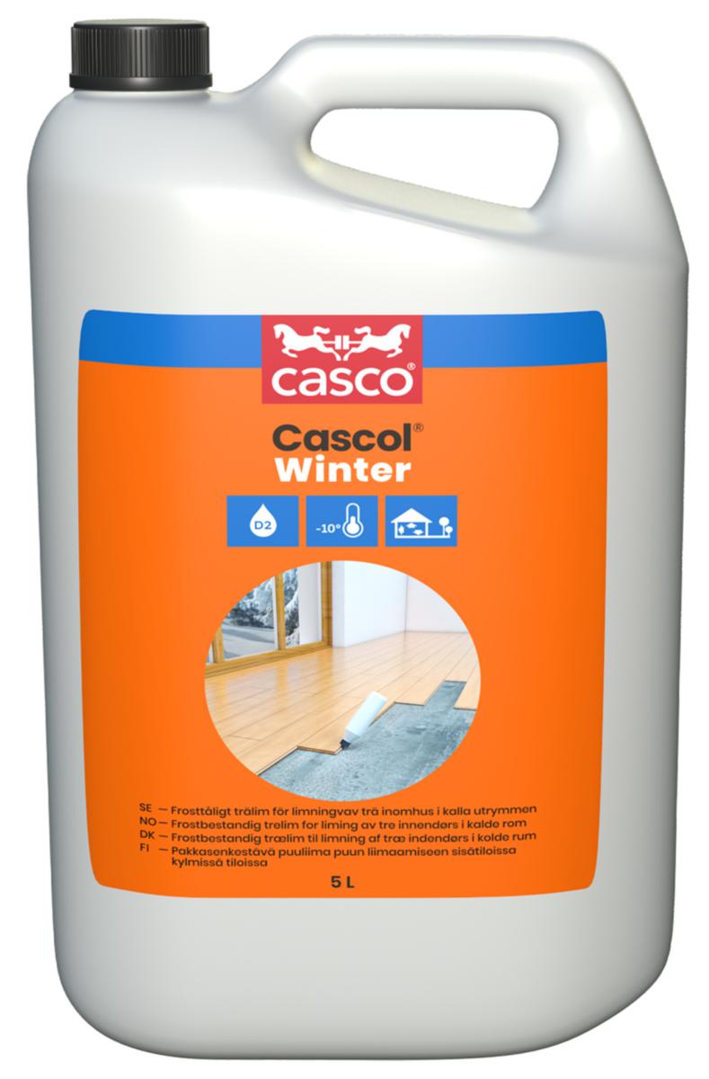 Trälim Casco Cascol Winter - TRÄLIM CASCOL WINTER 5L CASCO VINTER