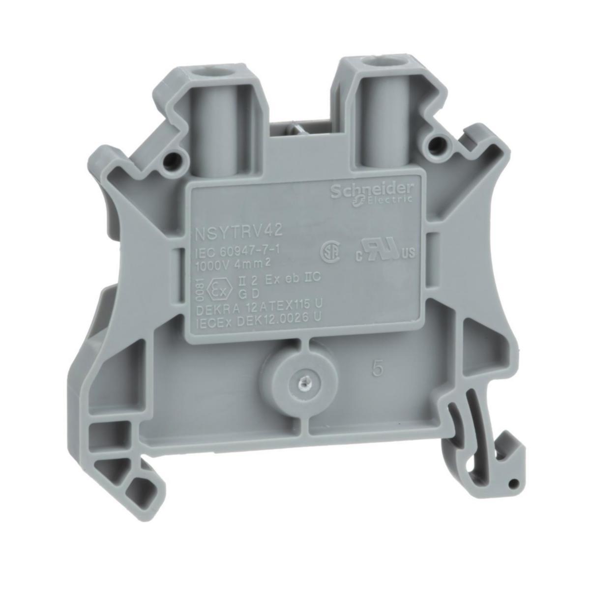 Terminal block NSYTRV - SCREW TERM FEEDTHR 2PTS 4MM² NSYTRV42