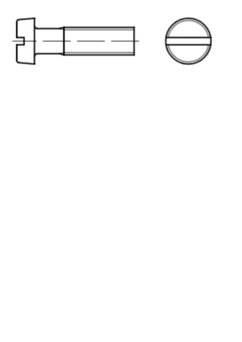 Spårskruv UCS 4.8 blankförzinkad DIN 84 - SPÅRSKRUV UCS 4.8 FZB 1/4''UNCx3/4'' DIN 84