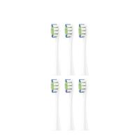 Toothbrush Heads, Professional Clean, 6-Pack