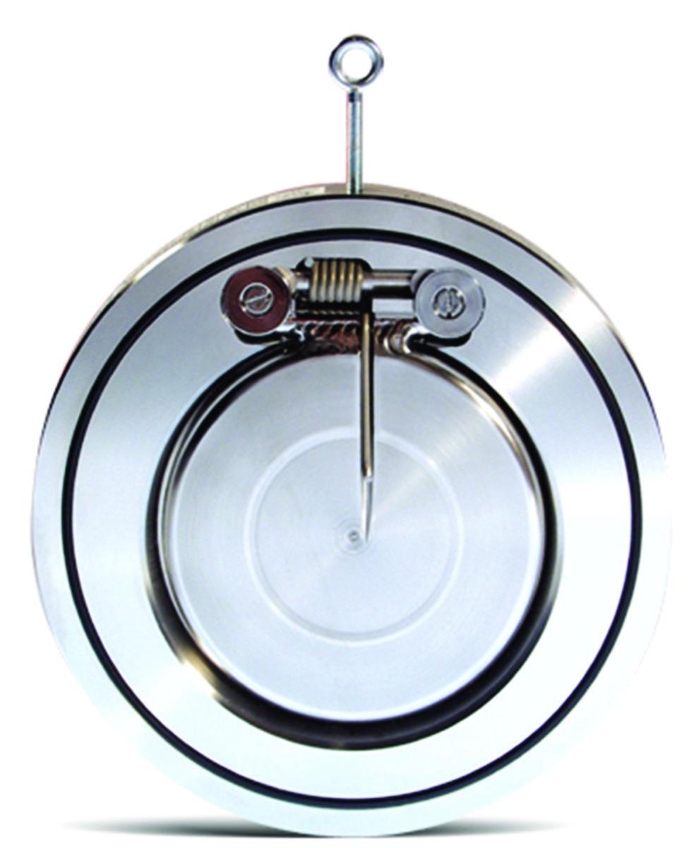 Klaffbackventil AVI1645 - DN 100 KLAFFBACKVENTIL AVI1645 A316L/NBR MED FJÄDER.PN16