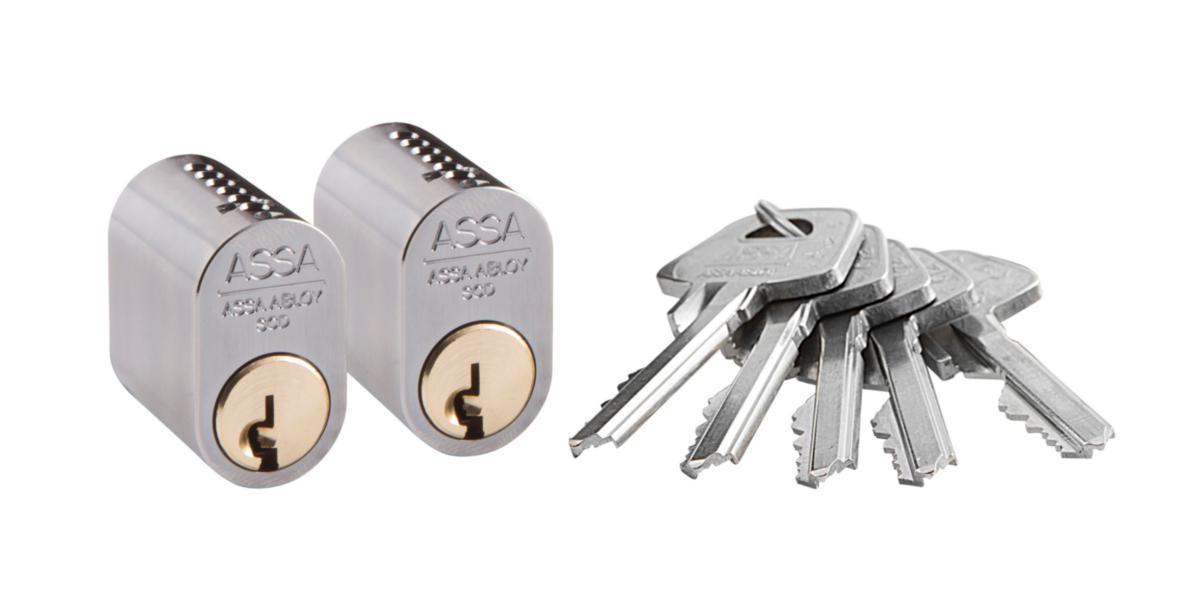 Cylinder ASSA 1301 EQUAL LOCKING - CYLINDER ASSA 1301x2 LL INCL. 5 KEYS OVAL N GDS