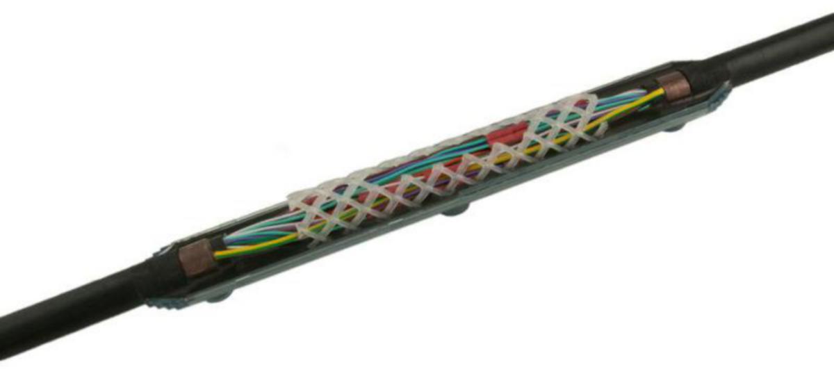 Gjuthartsskarv 1kV MZ - SKARVSATS MZ1