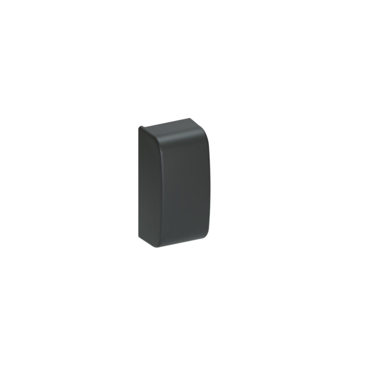 Ändstycke Optiline, Schneider-Electric - ÄNDSTYCKE 12X30 SVART R9005 ISM14264