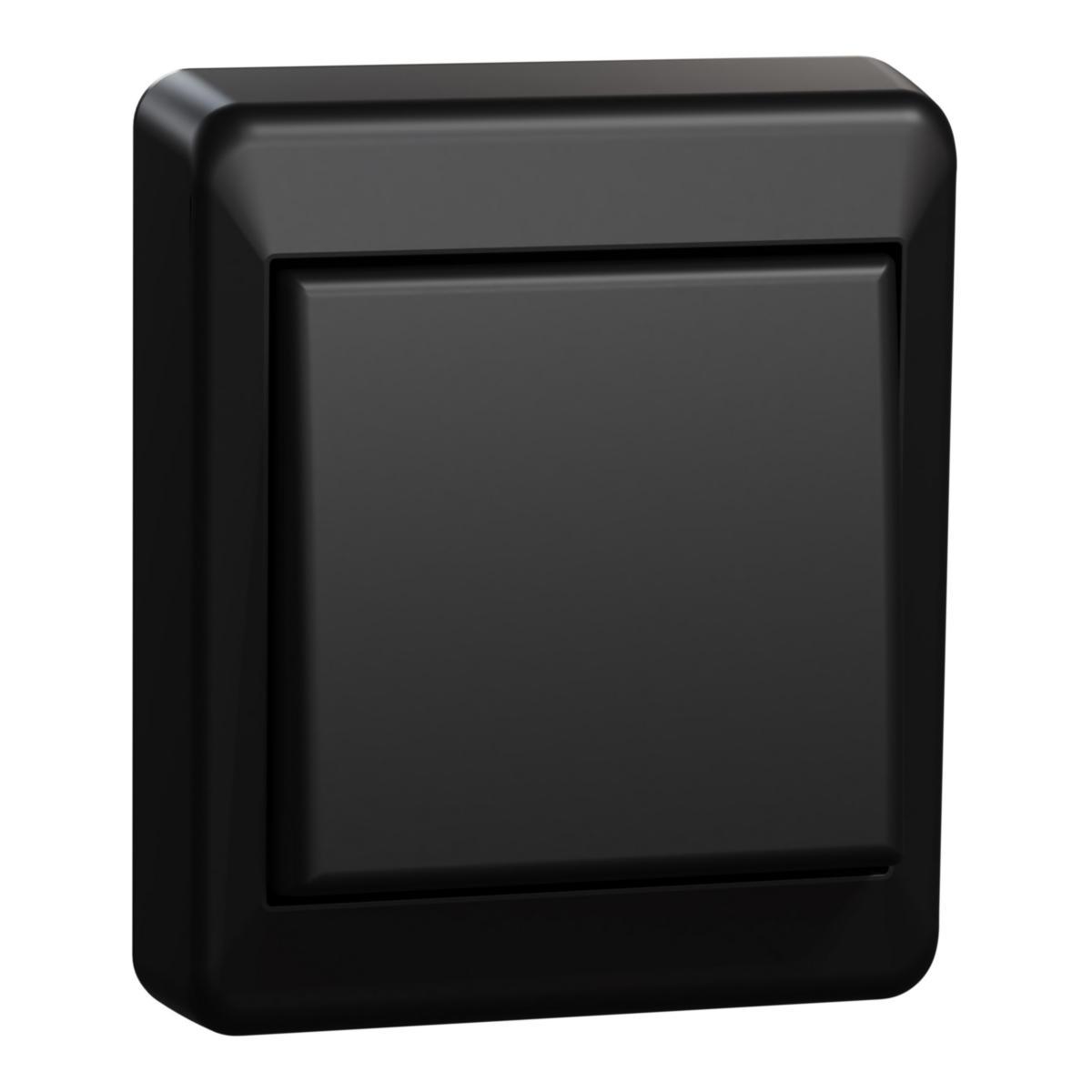 Elko-RS black switch screw for surface mounting - RS16/6 P swtich surface bl