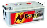 Startbatteri Banner Buffalo Bull SHD