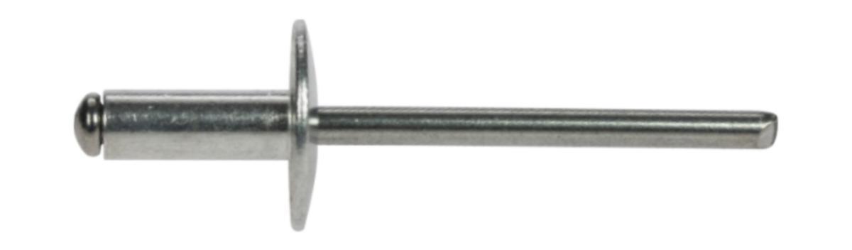 Blindnit AL/ST stor skalle - BLINDNIT AL/ST STOR SKALLE C2 4,8x30 100ST 16 MM