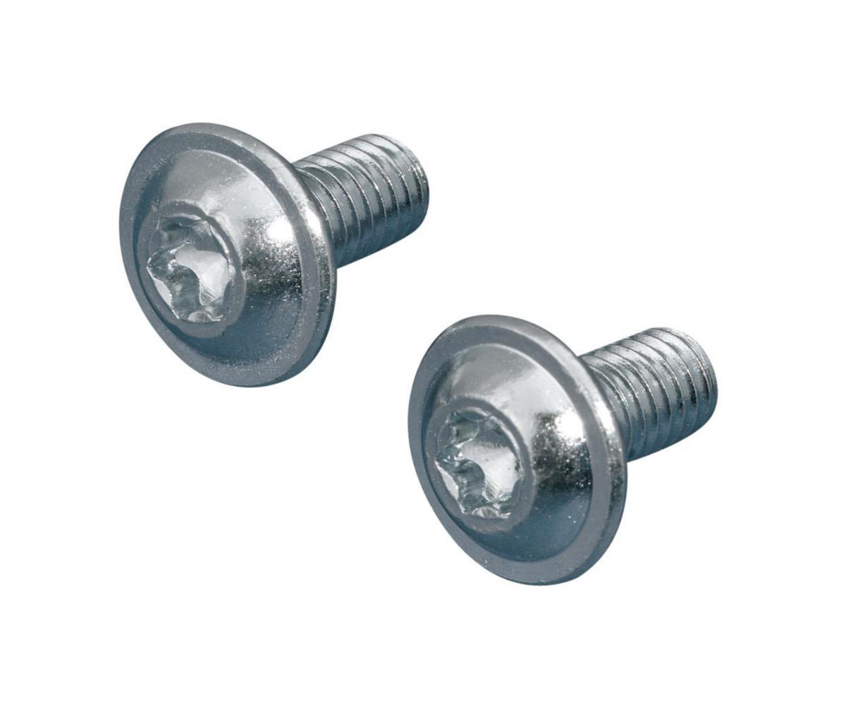 Skruv, Rittal - SKRUV SZ 2504 500st